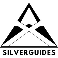 Silverguides AI logo - Similar company to Triage Tech