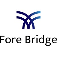 Fore Bridge Co., Ltd. logo - Similar company to Stipnetz