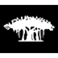 Banyan Consulting
