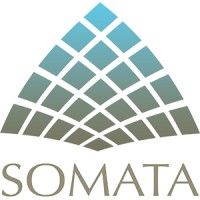 Somata Genesis, Inc. logo - Similar company to Popsicle Creative
