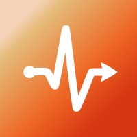 Palsion logo - Similar company to Solid Sa