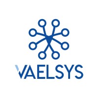 Vaelsys BRASIL logo - Similar company to Vaelsys