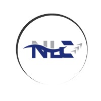 Next Level Consulting
