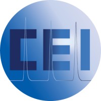 CE Instruments Ltd logo - Similar company to Gds Technologies Ltd
