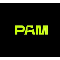 Pam Learning logo - Similar company to Play2Speak