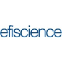EFISCIENCE SAS logo - Similar company to Focal One Dach