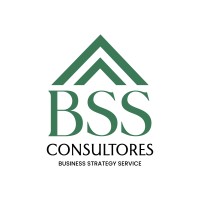 BSS Consultores logo - Similar company to Mentalis Consultores
