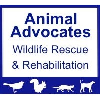 Animal Advocates logo - Similar company to Anderson Humane