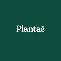Plantae Life logo - Similar company to Dude Digital Bkk