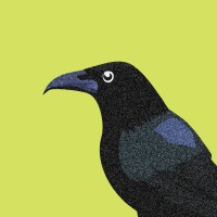 TellCrow logo - Similar company to Vpw Studio