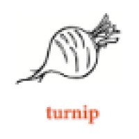 Turnip Interim BV logo - Similar company to Friese Ontwikkelingsmaatschappij - Fom
