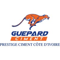 PRESTIGE CIMENT COTE D'IVOIRE logo - Similar company to Comité National De Pilotage Du Redéploiement De L'Administration (Cnpra)