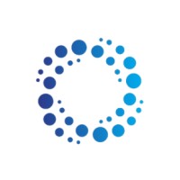 DexaMinds logo - Similar company to Appnetwise