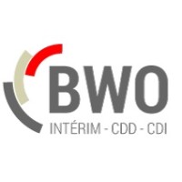 BWO - BRAIN WORK OFFICE - RECRUTEMENT logo - Similar company to Nord Sud Technology Services