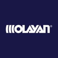 Olayan Financing Company logo - Similar company to Olayan Saudi Holding Company