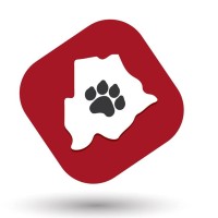 Shumba Energy logo - Similar company to Marung Development Services