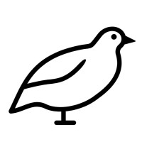 QuAIL Technologies logo - Similar company to Qubi