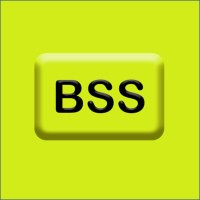 Backup Staff & Solutions logo - Similar company to Netzer Consulting