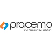 Pracemo Global Solutions logo - Similar company to B.Networks