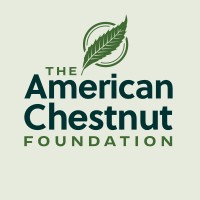 The American Chestnut Foundation logo - Similar company to Con Mucha Gula