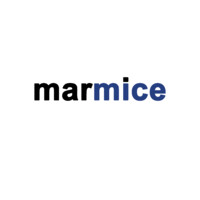 Marmice logo - Similar company to Negese Turizm Organizasyon