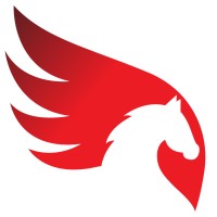 Napoleon Films logo - Similar company to Digiparadox Technology