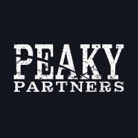 Peaky Partners logo - Similar company to 13Aff