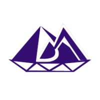DIAMOND MARTINS NIG.  LTD logo - Similar company to Saltlagos