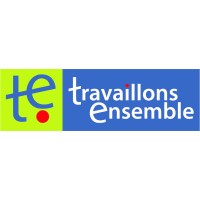 Travaillons Ensemble logo - Similar company to Fer Ensemble