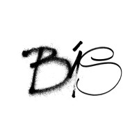 BiS - Best In Slot logo - Similar company to Mistral Graphic
