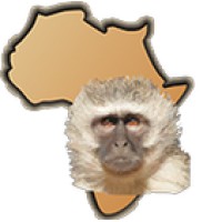 Bambelela logo - Similar company to Ultimate Roadtrips