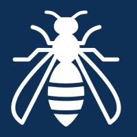 Bug Boys Pest Control logo - Similar company to Blue Beetle Pest Control