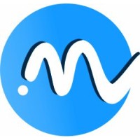 Meso Insights logo - Similar company to Shalarab Consulting