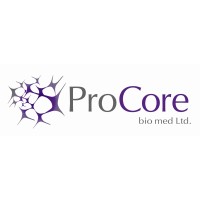 ProCore Ltd logo - Similar company to Procore Solutions