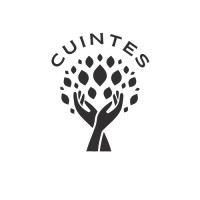 Cuintes logo - Similar company to Digital Ixd Lab