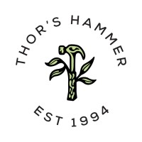 Thor's Hammer logo - Similar company to See Change