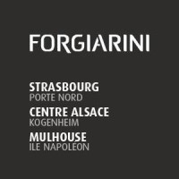 Forgiarini SAS logo - Similar company to Techniques Chantiers Services - T.C.S.