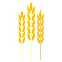 Slattery Strategy LLC logo - Similar company to Product Tribe