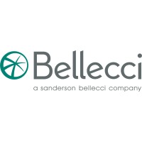 Bellecci & Associates (now Sanbell) logo - Similar company to Wbrg