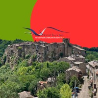 Selected Tours Italy logo - Similar company to Ramitours Srl