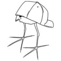 Gangster Pukeko Games logo - Similar company to It Flow