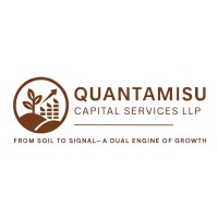 Quantamisu Capital Services LLP logo - Similar company to Ventur Hq