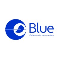 BLUE logo - Similar company to Synaxel
