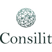 Consilit logo - Similar company to Your Solution Group