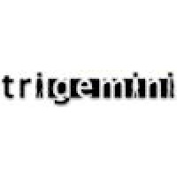 TriGemini logo - Similar company to Nuron