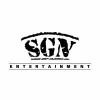 SGN Entertainment Pvt. Ltd. logo - Similar company to Ssr Solutions Pvt.Ltd