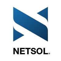 NETSOL Technologies Pakistan logo - Similar company to Systems Limited