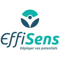 EffiSens logo - Similar company to Vertio