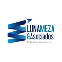 Luna Meza & Asociados logo - Similar company to Ddf México (Foundry)