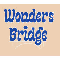 Wonders Bridge Insurance logo - Similar company to Beyond The Beat